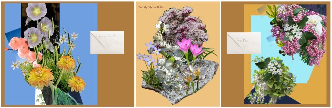 Heidi Bender, Margarita Vasquez Cardenas, Heidi Bender, Conversations in Florigraphy, Life in Dublin.  2014