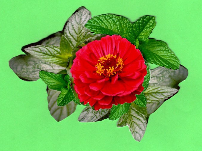 Message readied for text messaging.